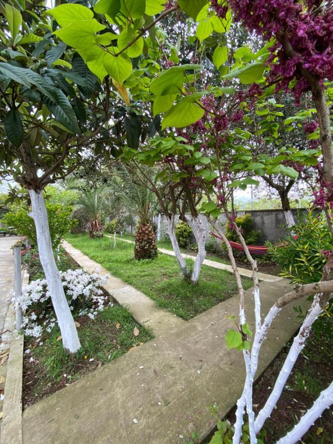 Villa Jakos Paradise Batumi Zewnętrze zdjęcie
