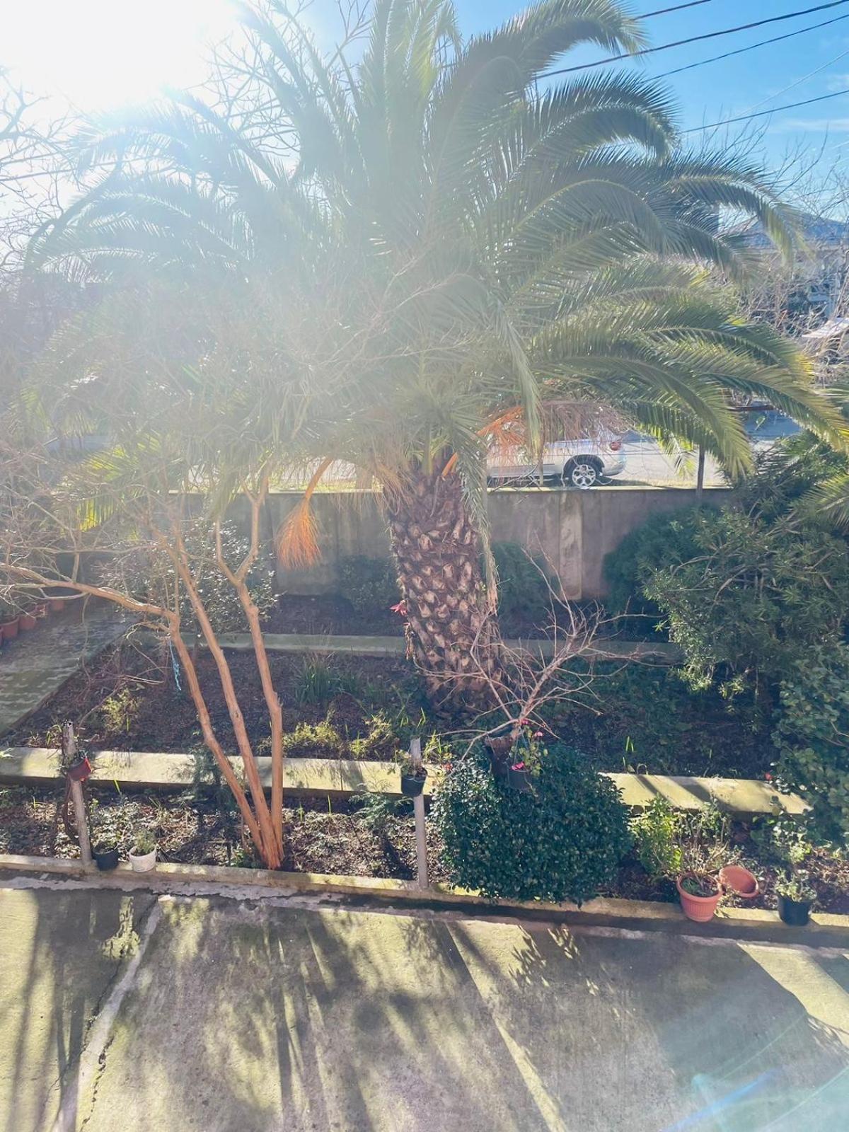 Villa Jakos Paradise Batumi Zewnętrze zdjęcie